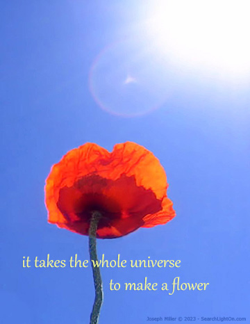 universe makes flower